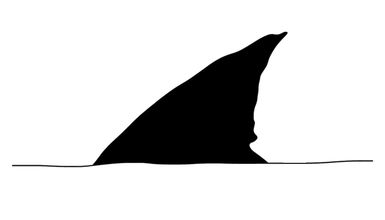 SmartShark Tech logo