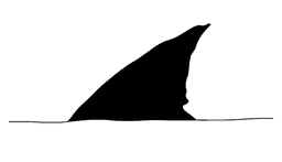 SmartShark Tech logo